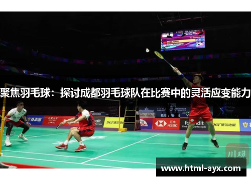 聚焦羽毛球：探讨成都羽毛球队在比赛中的灵活应变能力